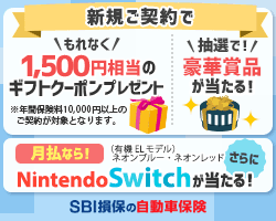 イオン保険 キャンペーン